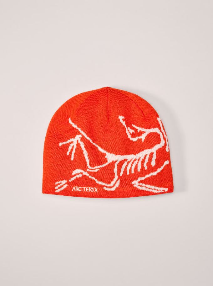 ARC'TERYX BIRD HEAD TOQUE Dynasty / Artic Silk