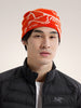 ARC'TERYX BIRD HEAD TOQUE Dynasty / Artic Silk