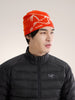 ARC'TERYX BIRD HEAD TOQUE Dynasty / Artic Silk