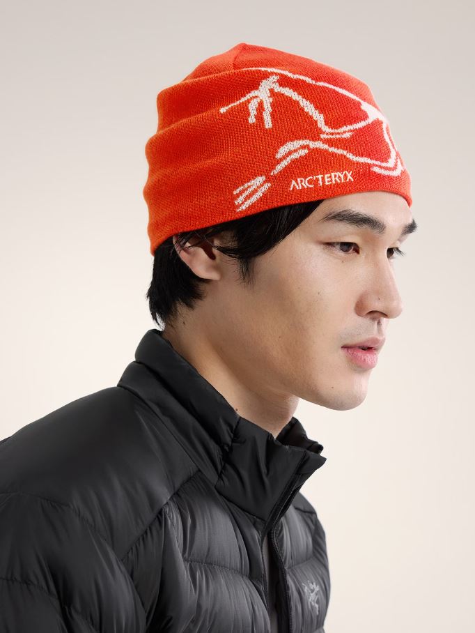 ARC'TERYX BIRD HEAD TOQUE Dynasty / Artic Silk