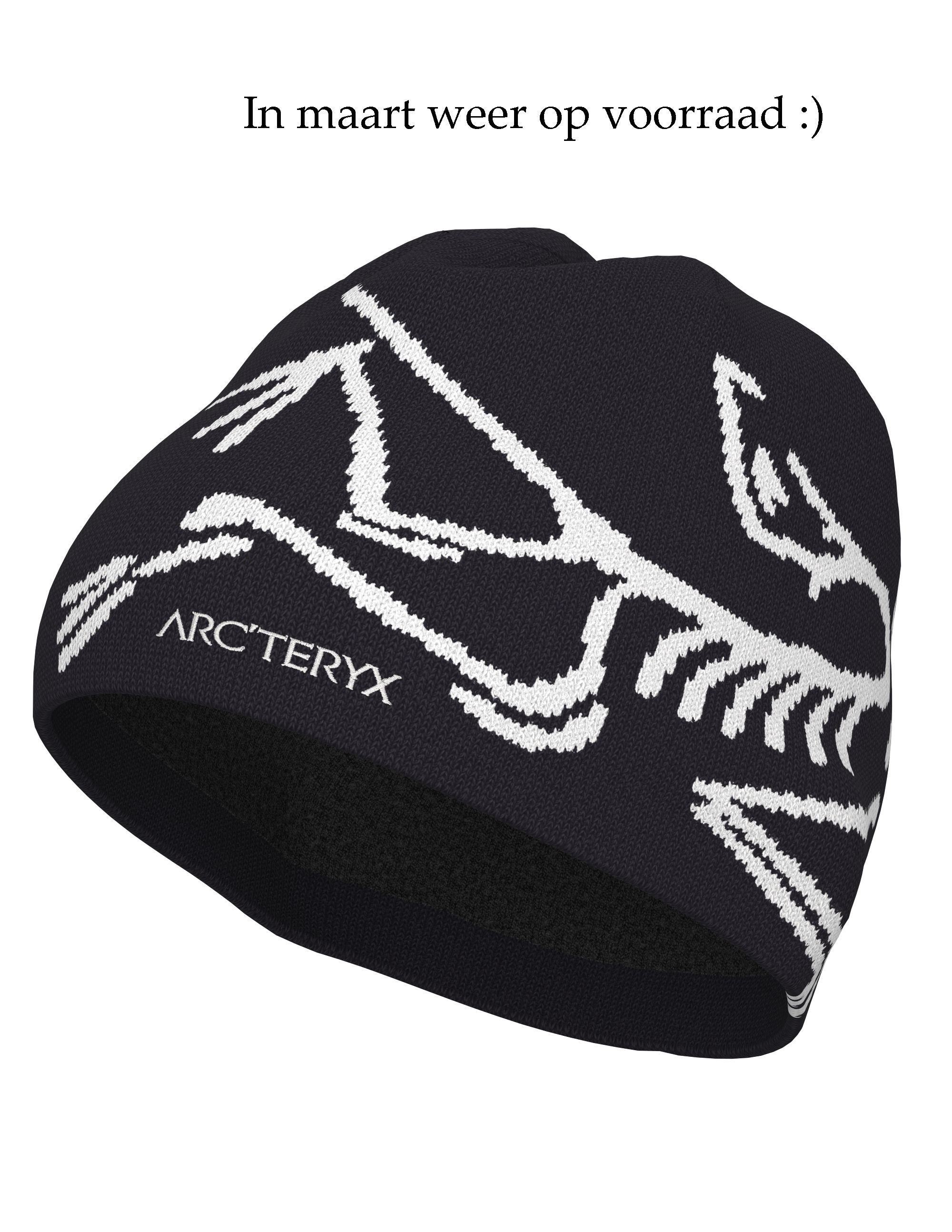 Arc'teryx Bird Head Toque - Orca