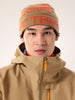 ARC'TERYX BIRD WORD TOQUE  Canvas / Dynasty  22438