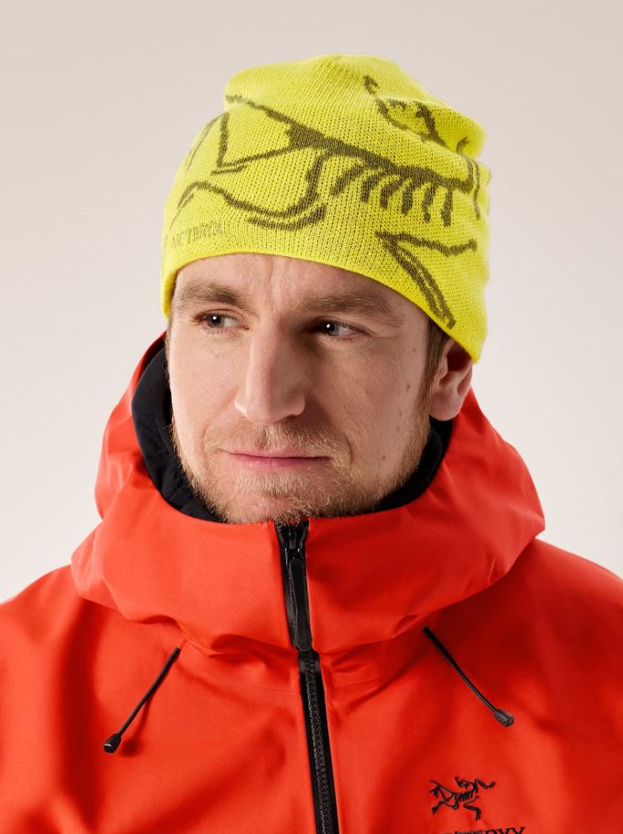 【ARC'TERYX】BIRD HEAD TOQUE PHANTASM/EUPHORIA Arc'teryx Men's Bird Word Toque in Phantasm/Euphoria Arc'teryx