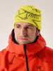 Arc'teryx Bird Head Toque - Euphoria  /  Olive Moss