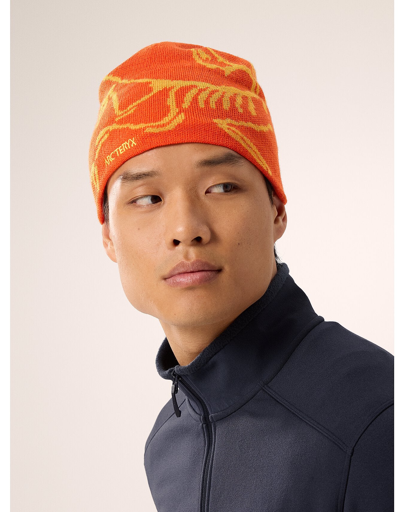 ARC'TERYX BIRD HEAD TOQUE Solaris / Edziza