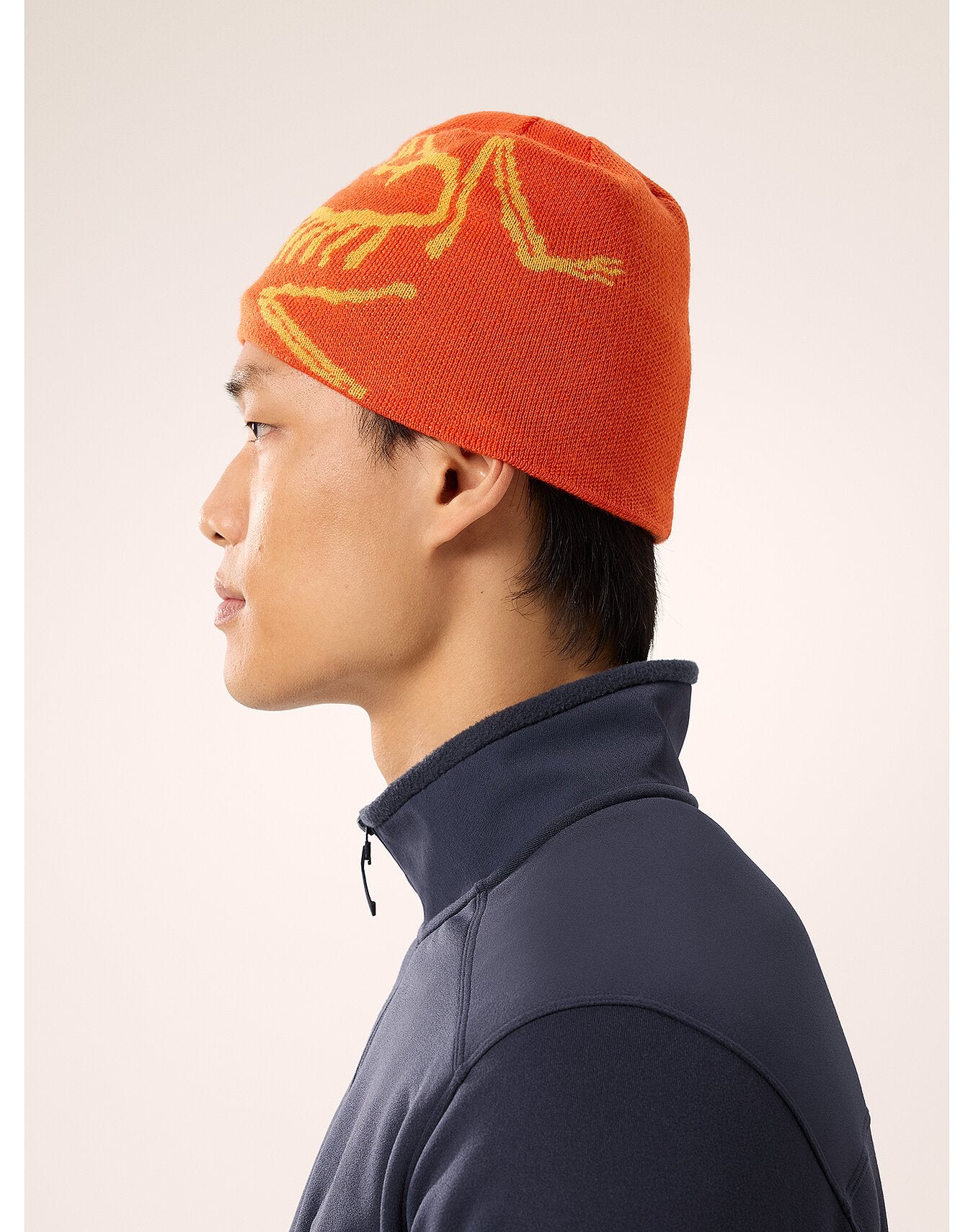 ARC'TERYX BIRD HEAD TOQUE Solaris / Edziza