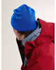 Arc'teryx Bird Head Toque - Vitality / Fluidity