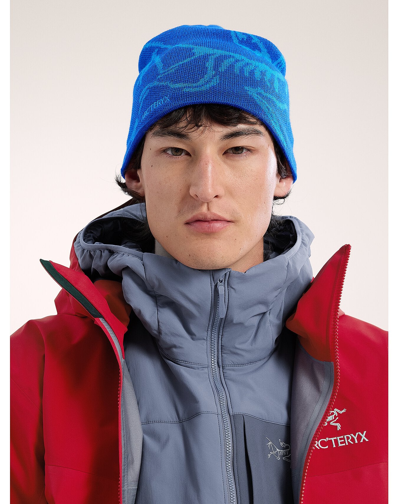 Arc'teryx Bird Head Toque - Vitality / Fluidity