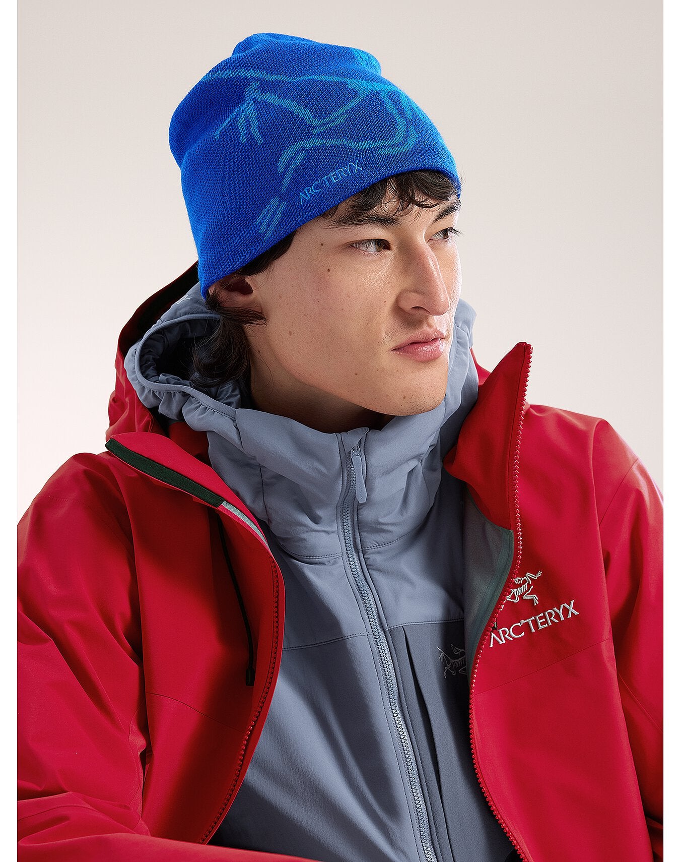 Arc'teryx Bird Head Toque - Vitality / Fluidity