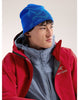 Arc'teryx Bird Head Toque - Vitality / Fluidity