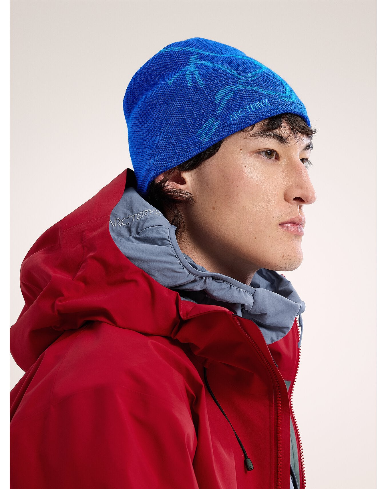 Arc'teryx Bird Head Toque - Vitality / Fluidity