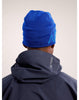 Arc'teryx Word Head Toque - Vitality - Fluidity