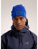 Arc'teryx Word Head Toque - Vitality - Fluidity