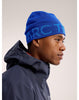 Arc'teryx Word Head Toque - Vitality - Fluidity