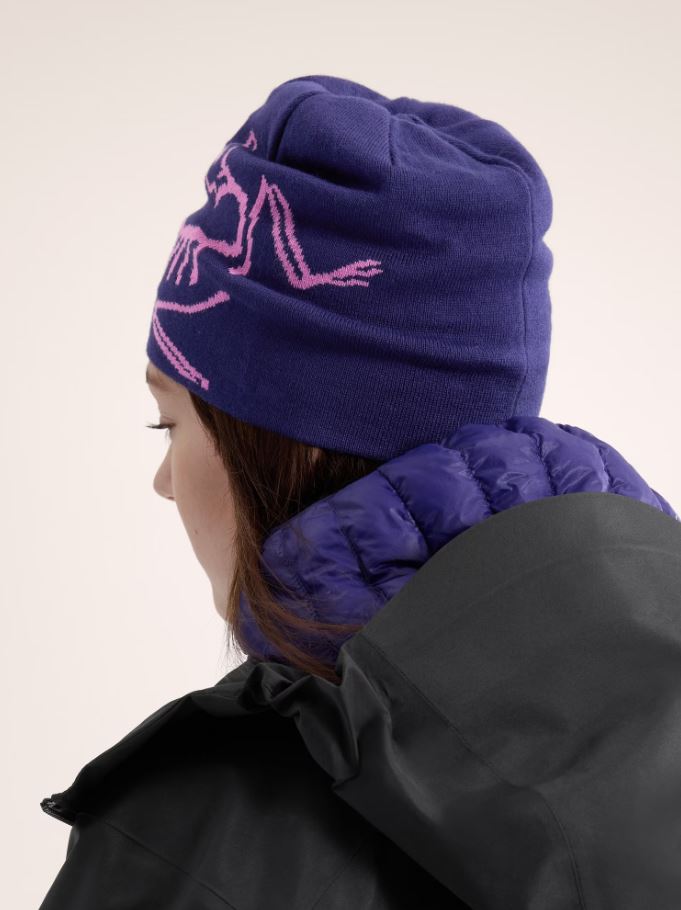 ARC'TERYX LIGHTWEIGHT BIRD HEAD SOULSONIC / ALPEN