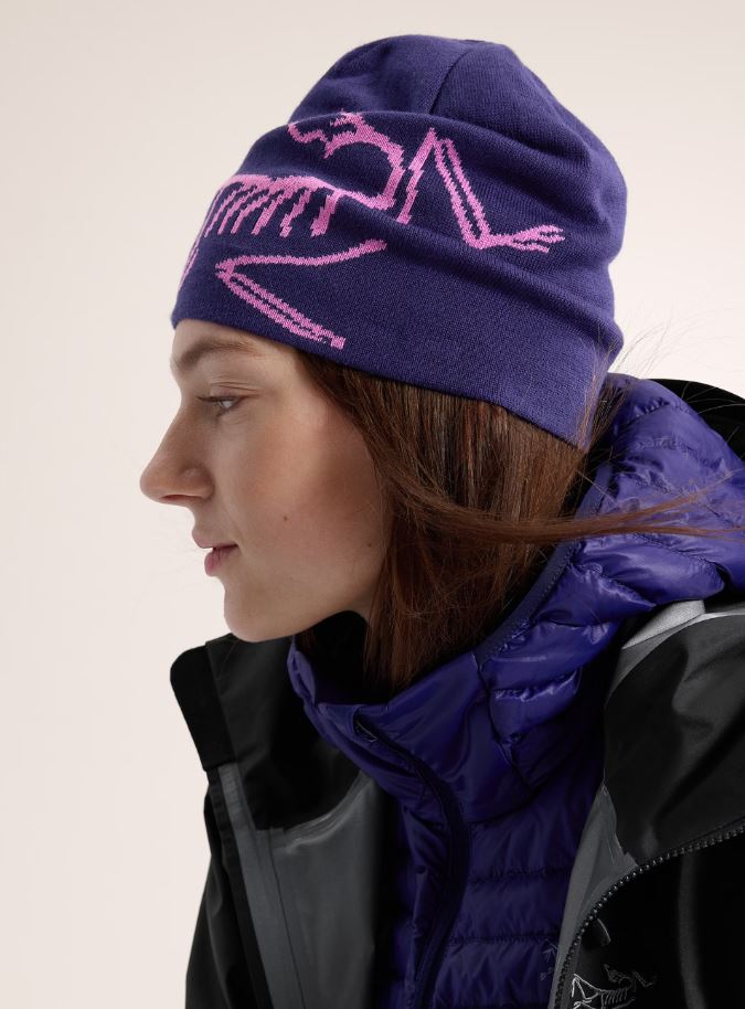 ARC'TERYX LIGHTWEIGHT BIRD HEAD SOULSONIC / ALPEN