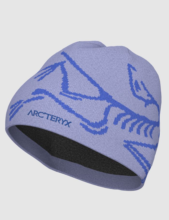 Arc'teryx BIRD HEAD TOQUE MOONSTONE / ELECTRA